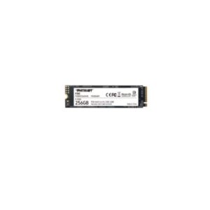 HARD DISK SSD 256GB M.2 (P300P256GM28) NVME