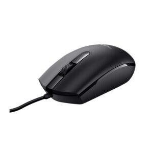 MOUSE 24271 AMBIDESTRO